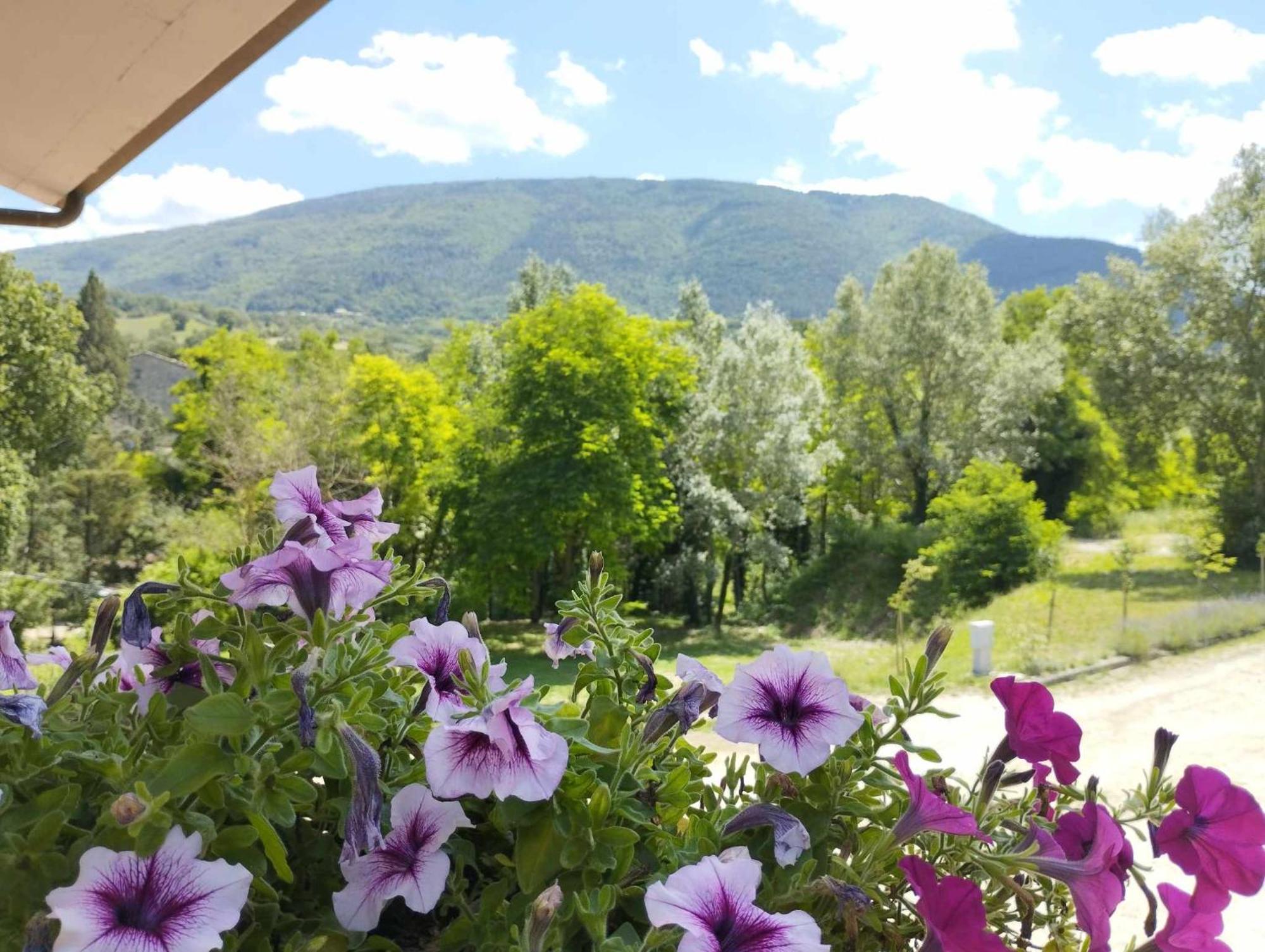 Pianpieve Nature & Relax Apartments อัสซิซี ภายนอก รูปภาพ