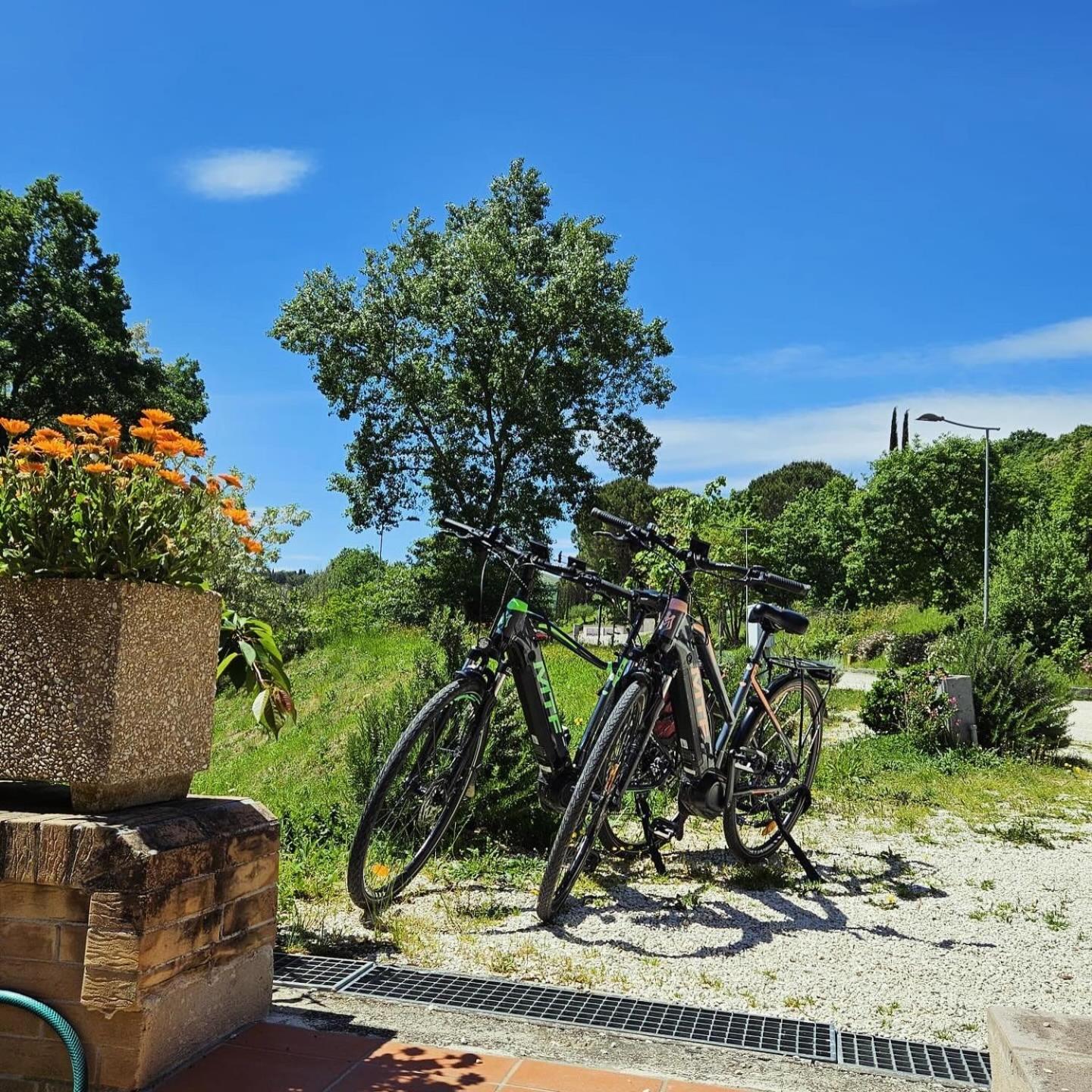 Pianpieve Nature & Relax Apartments อัสซิซี ภายนอก รูปภาพ